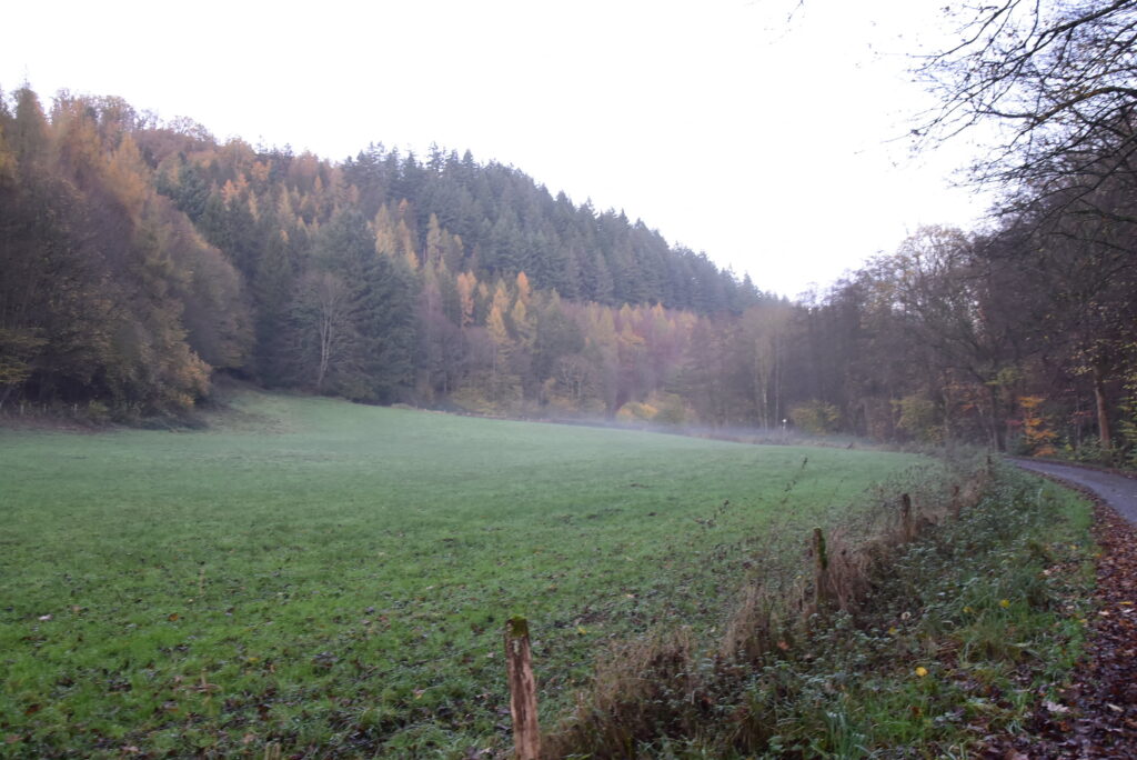 Forêt de Hürtgen (au nord du Massif de l’Eiffel, Land de Rhénanie-Nord-Westphanie), Vallée du Kall.