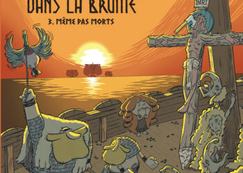 Vikings dans la Brume