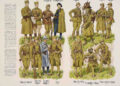 Tableau d'uniformes français distribué aux soldats allemands